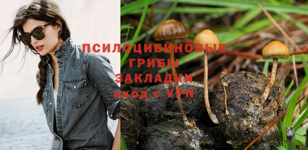соль курить ск Алексеевка
