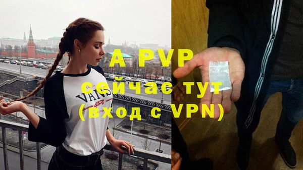 ПСИЛОЦИБИНОВЫЕ ГРИБЫ Россошь