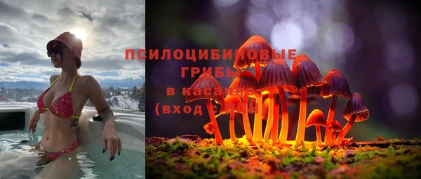 сатива Алзамай